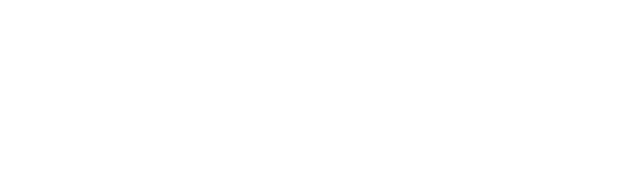 Brands_Logo_CocaCola_White.png