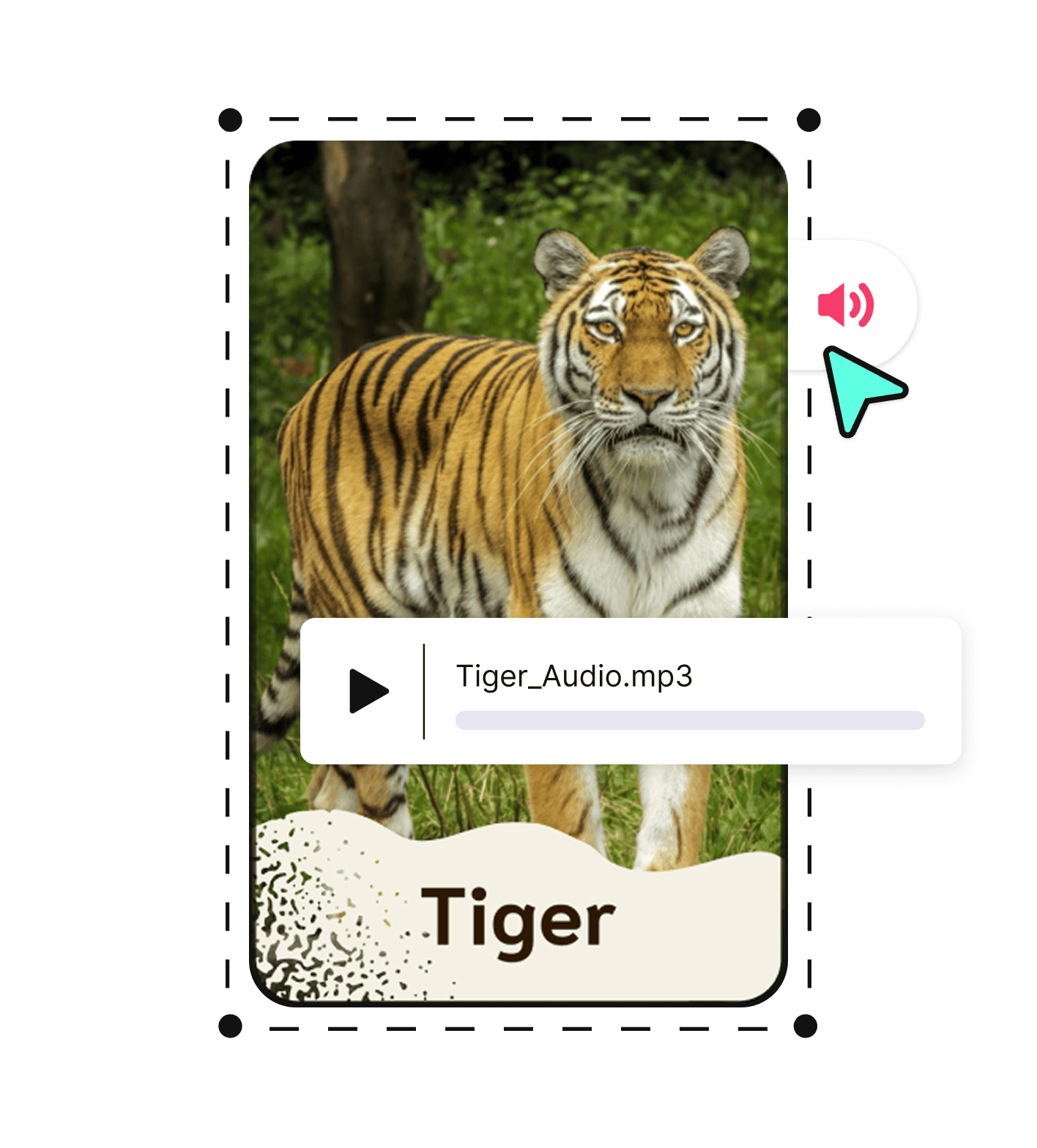 Create interactive and animated content